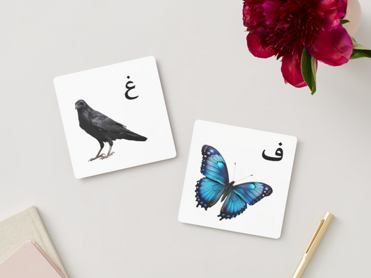 بطاقات الحيوانات التعليمية