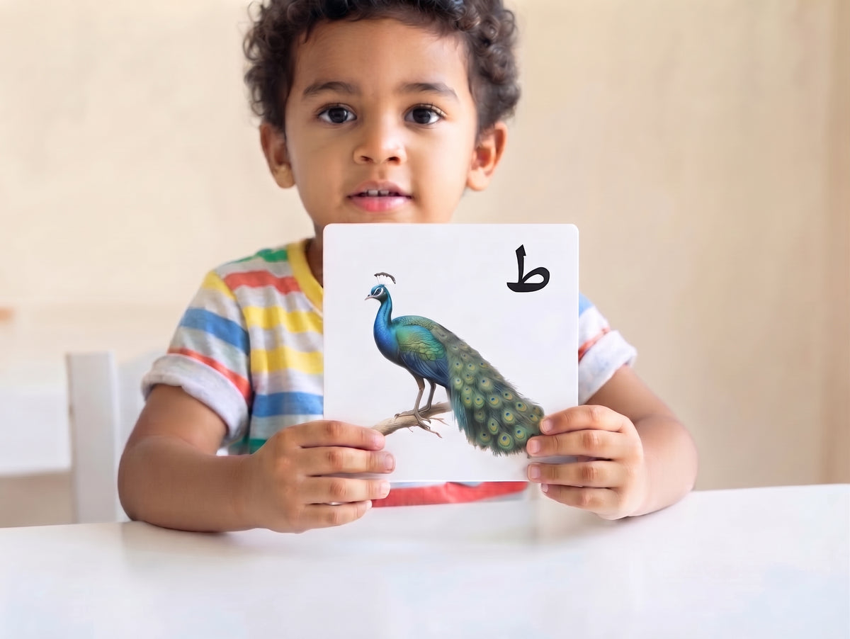 بطاقات الحيوانات التعليمية