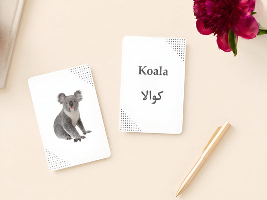 مجموعة الحيوانات و الطيور