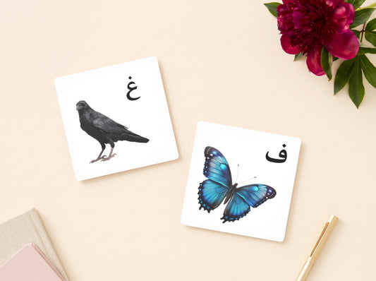 بطاقات الحيوانات التعليمية